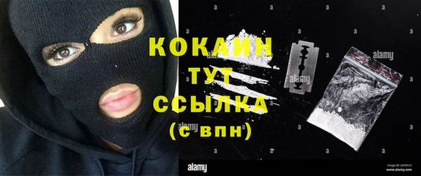 твердый Аркадак