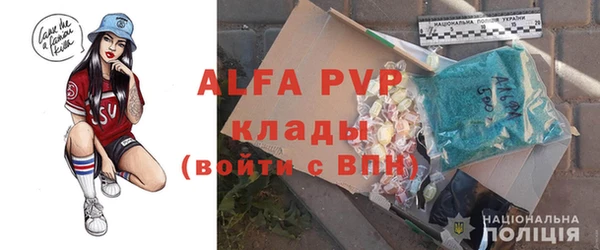 твердый Аркадак